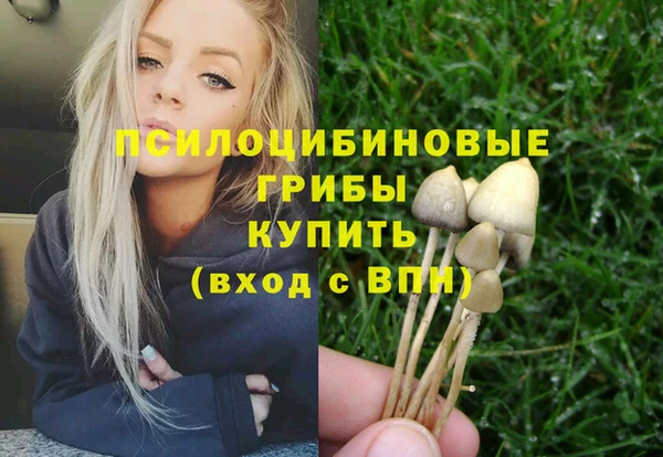 ALPHA PVP Алексин
