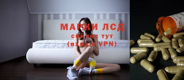крисы Алзамай