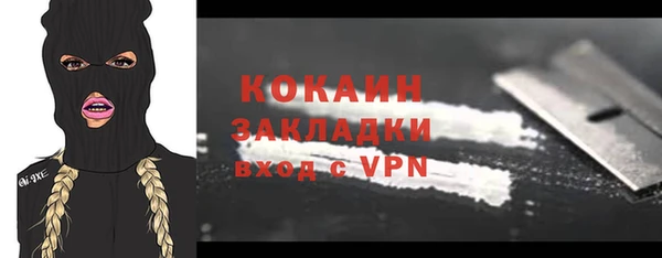 крисы Алзамай