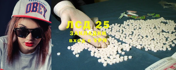 крисы Алзамай