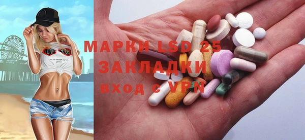 крисы Алзамай