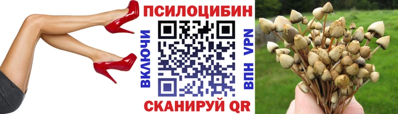 Галлюциногенные грибы ЛСД  Анжеро-Судженск 